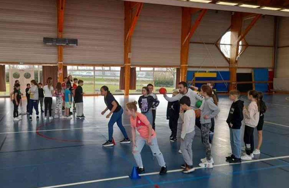 les-classes-de-cm-1-cm-2-1742553220